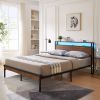 Queen Size Metal Platform Bed Frame with Wooden Headboard and Footboard with USB LINER,LED Lights, No Box Spring Needed, Large Under Bed Storage, Easy