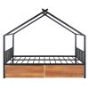 Full Size Metal House Bed with Two Drawers, Black